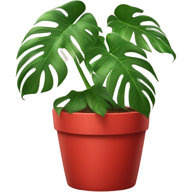 Monstera plant with a red pot emoji