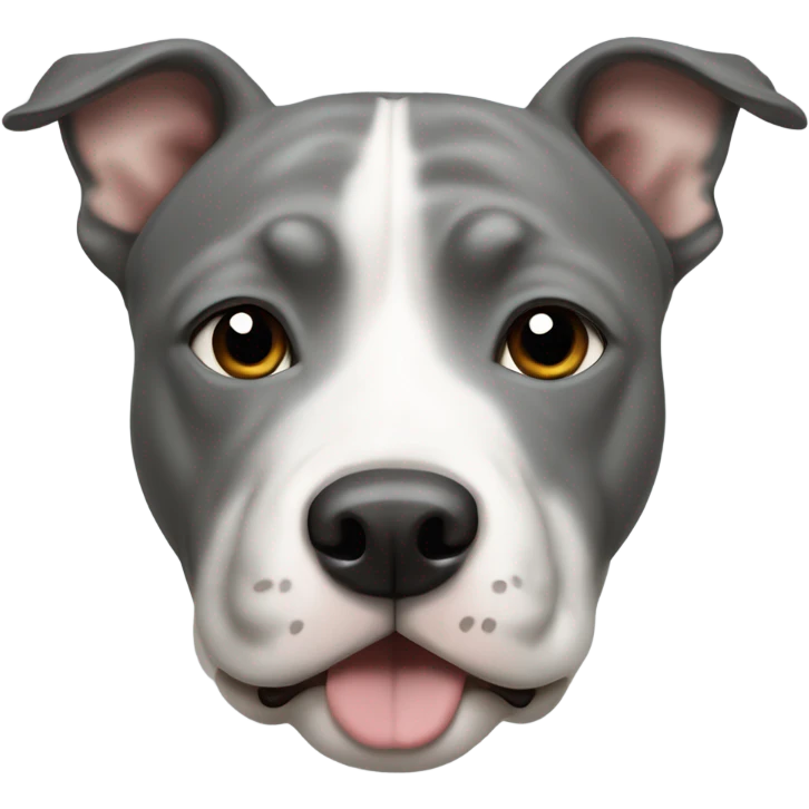 Grey Stafford shire bull terrier dog portrait with a small white line between his eyes, a grey nose, and a white chest emoji