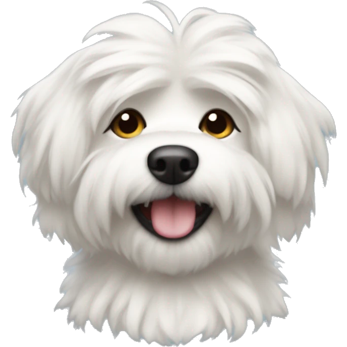 a maltes dog with fluffy hair smili emoji
