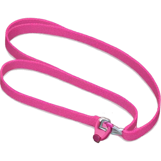 pink dog leash emoji