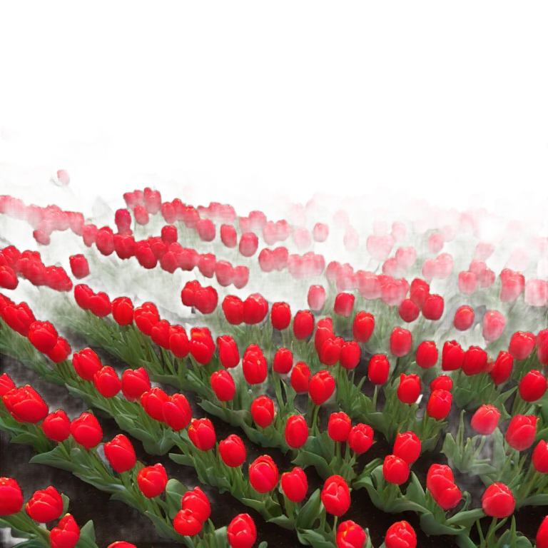background filled with red tulips emoji