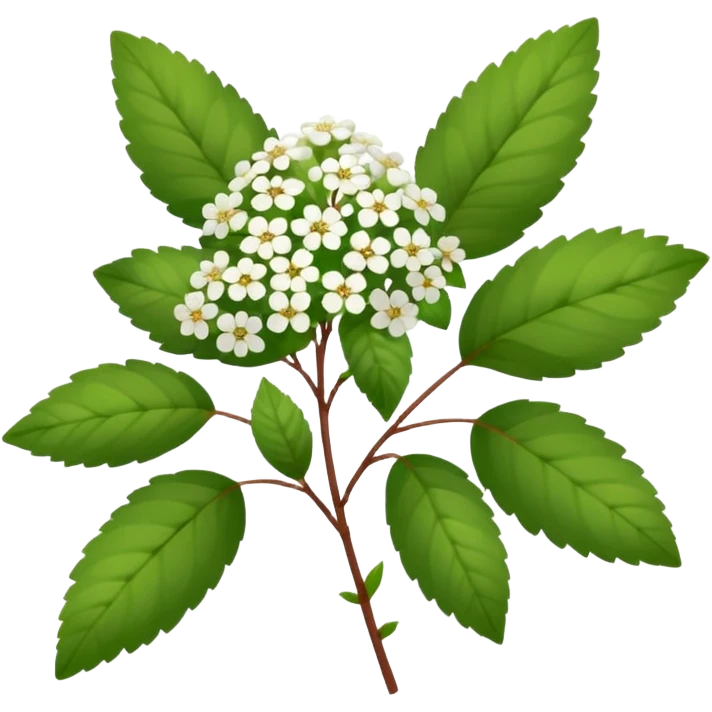 Spirea emoji