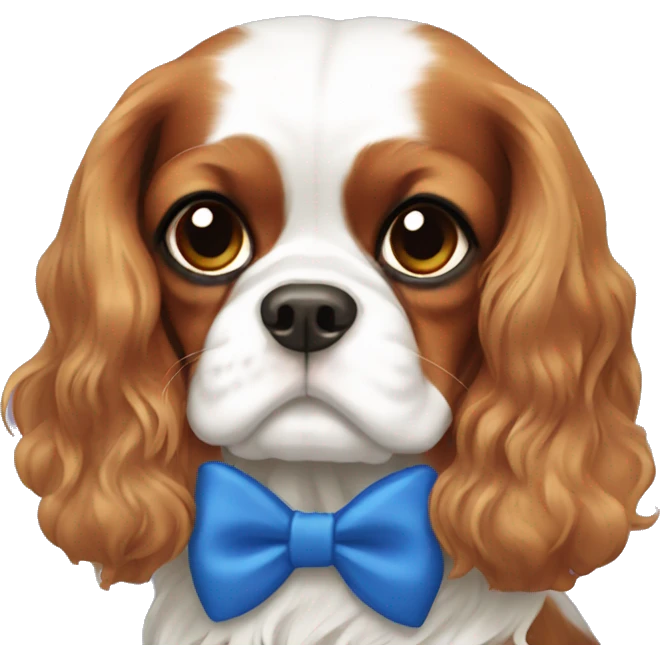King Charles cavalier blue bow  emoji