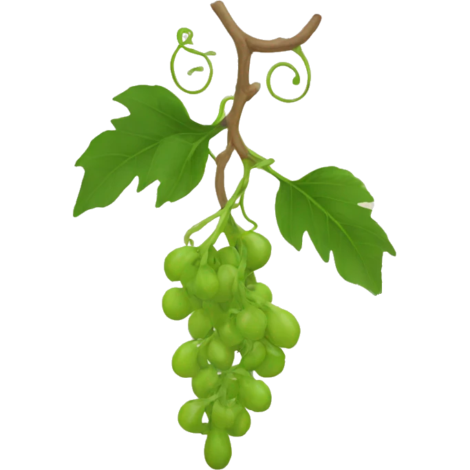 Azerbaijan vine emoji