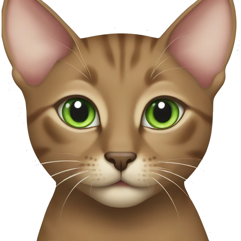 Oriental brown cat with greens eyes emoji