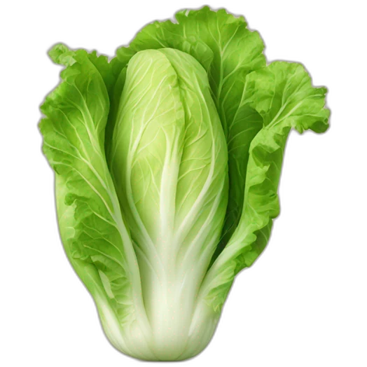 Chinese cabbage emoji