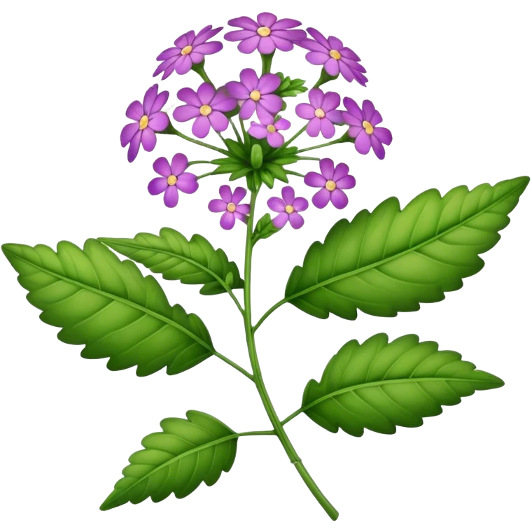 single big Verbena flower, leaf emoji
