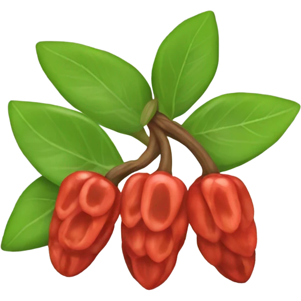a handful of Goji Berries emoji