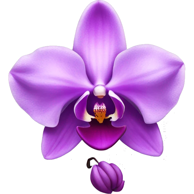 Purple Orchid emoji