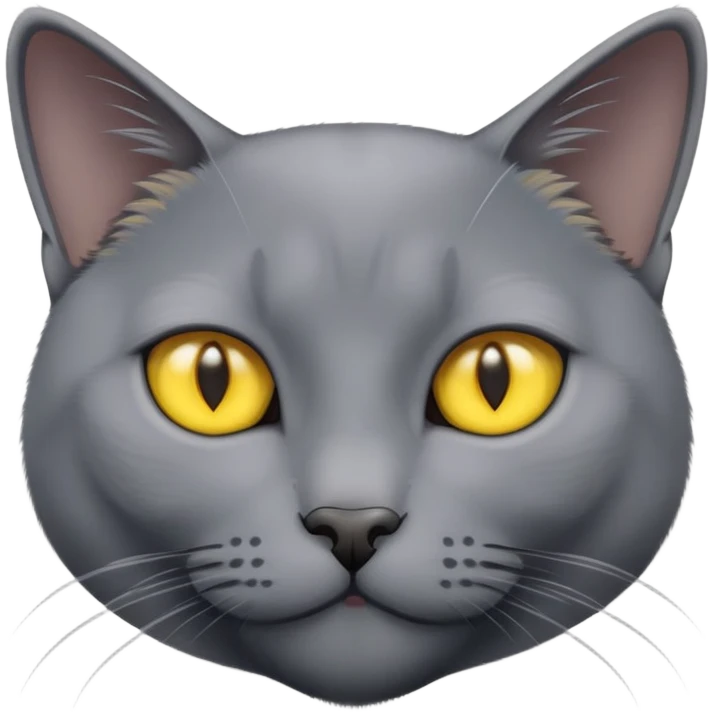 russian blue cat with yellow eyes  emoji