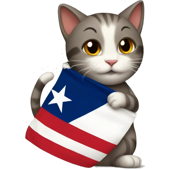 cat hugging texas flag emoji