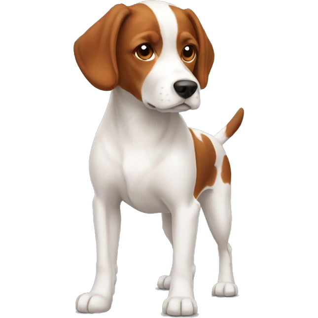 Brittany Dog Breed Full Body emoji