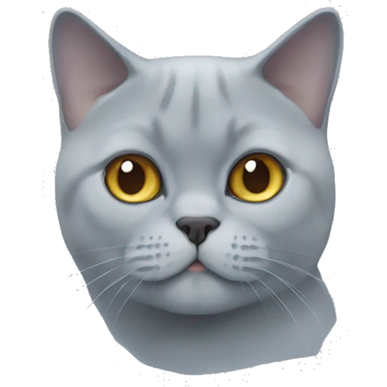 British shorthair cat face more blue emoji