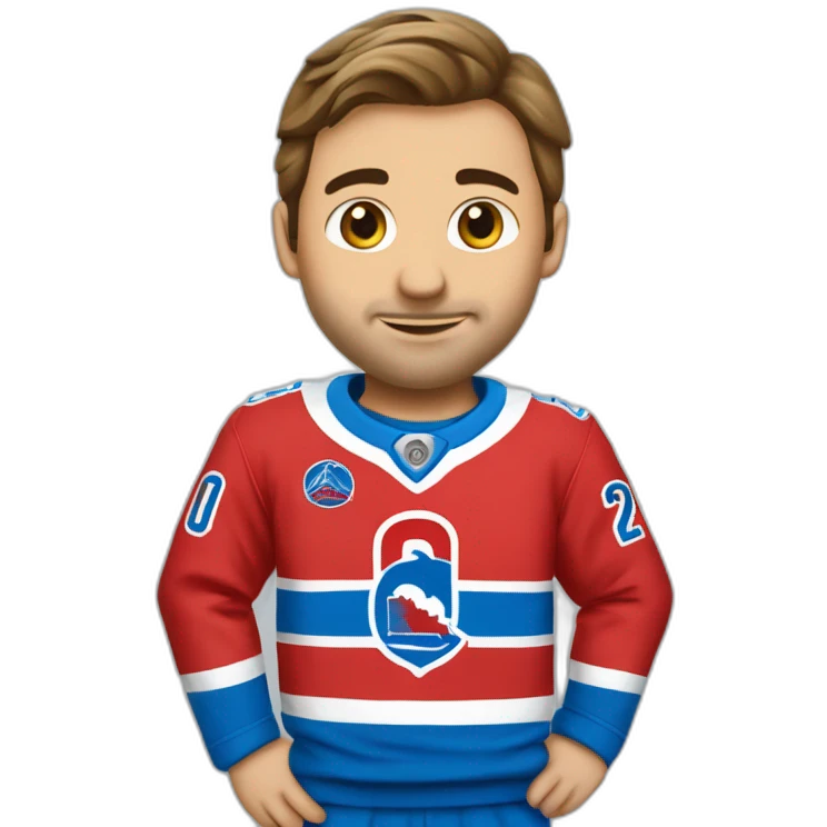 chandail des Nordiques de québec emoji