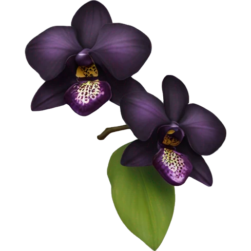 Black orchid emoji