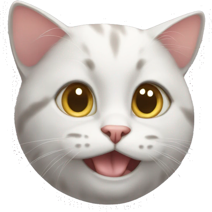 cat cat emoji