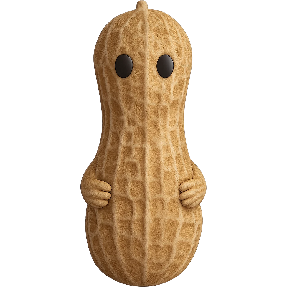 Add a realistic peanut shell texture to the 3D peanut character, keep it cute and with no facial expression, maintain transparent background. The style is 3D emoji style with a realistic peanut shell texture, cute and expressionless. emoji