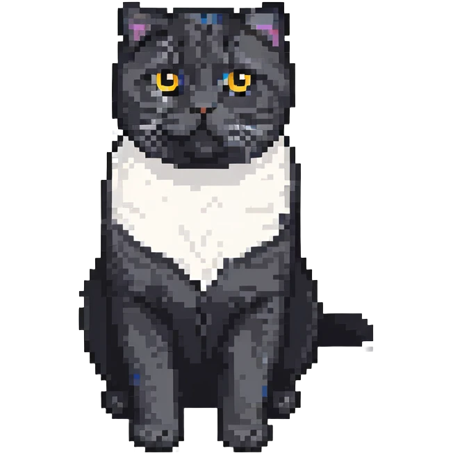 black Scottish fold cat with white spot on the chest emoji
