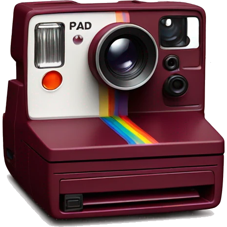 Polaroid camera realistic burgundy color emoji