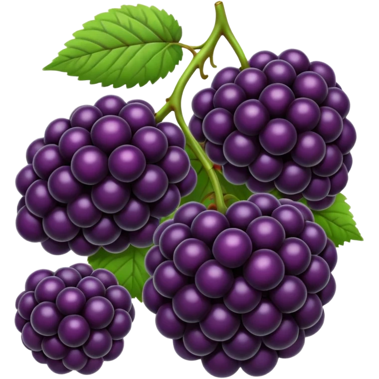 blackberries emoji