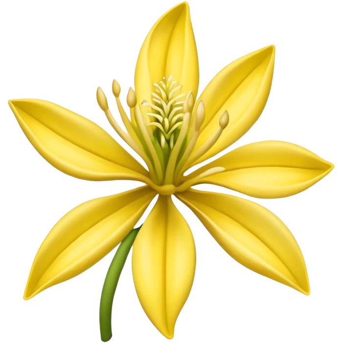 Ylang-ylang emoji