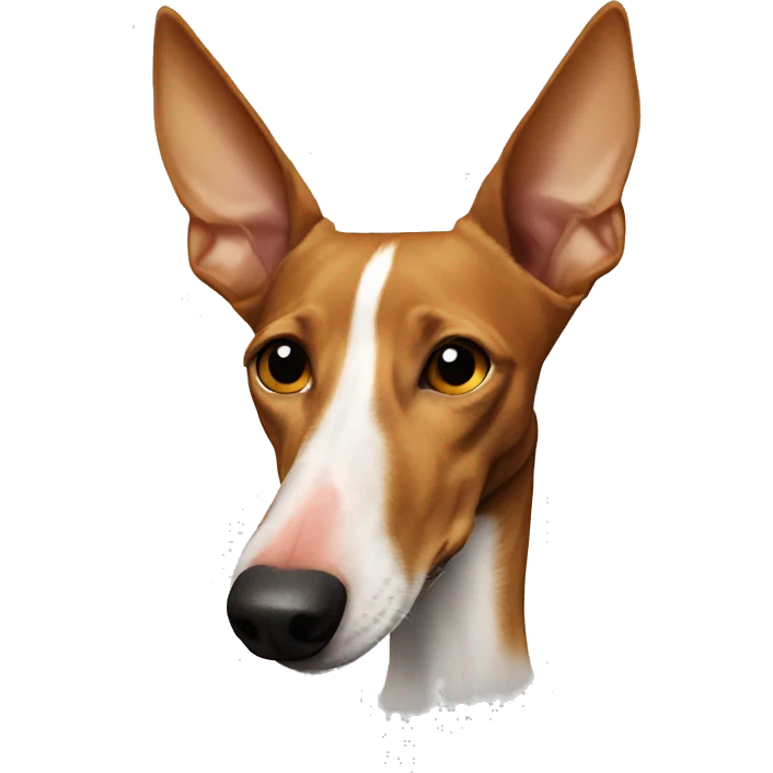 Podenco punk nose emoji