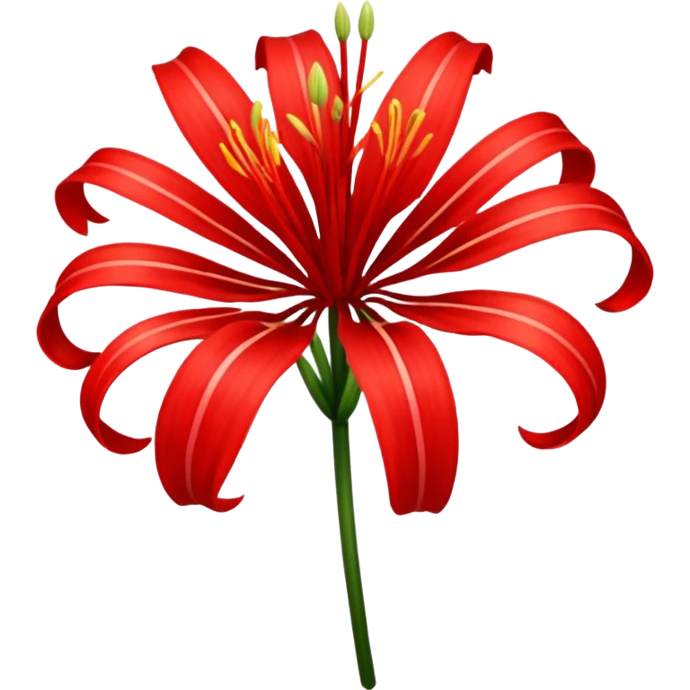 Uma flor de Lycoris radiata emoji