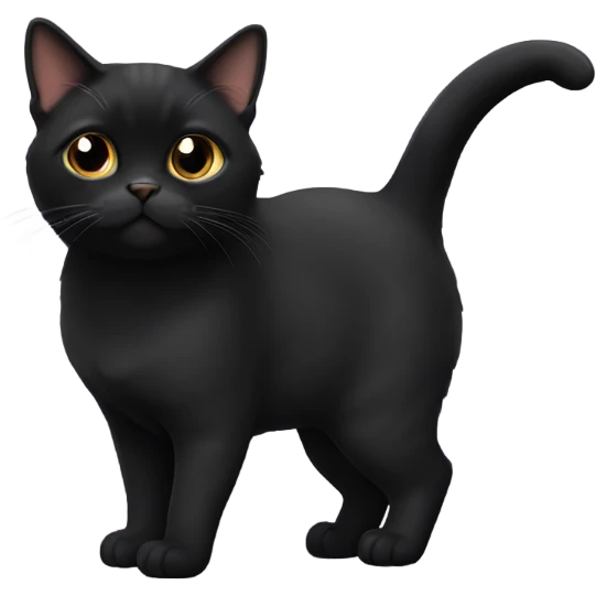 Black munchkin cat emoji