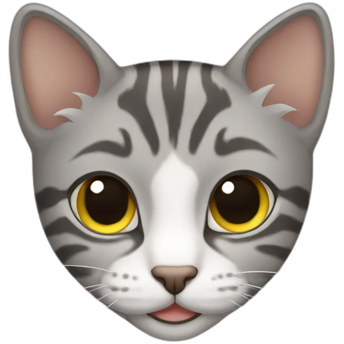 Gray tabby cat  emoji