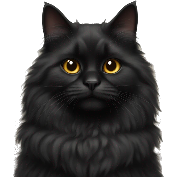 black fluffy cat sits in full growth emoji