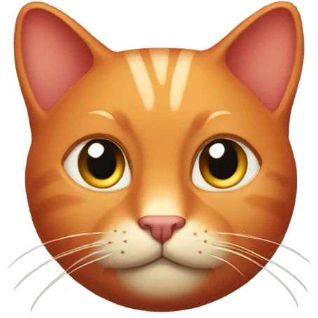  Red cat bald head emoji