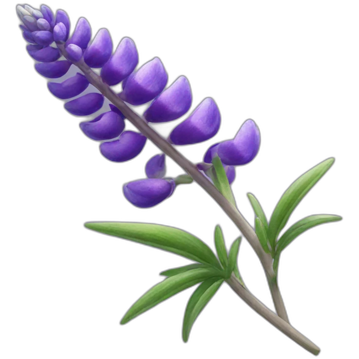lupine flowers  emoji