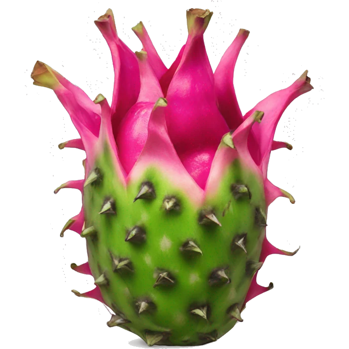 Dragonfruit emoji