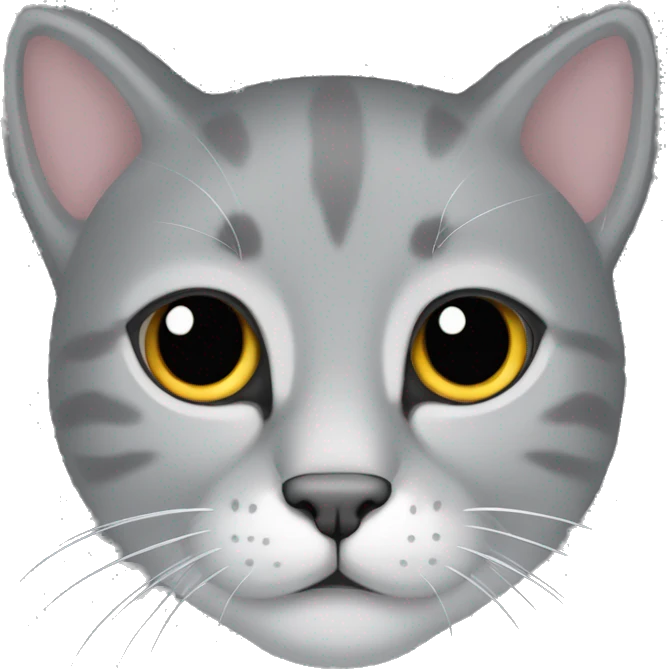 Gato de color gris solo rostro llorando emoji