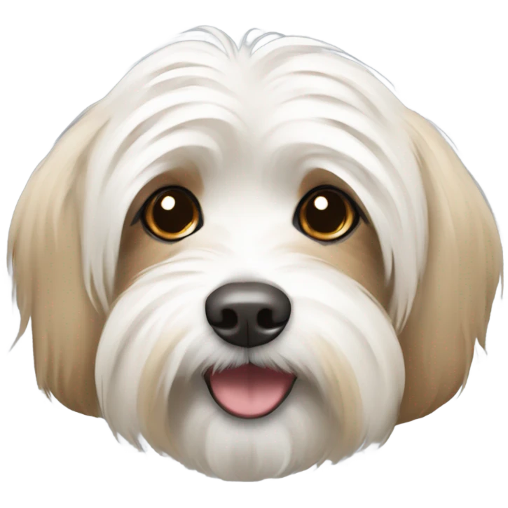 White and tan havanese dog  emoji