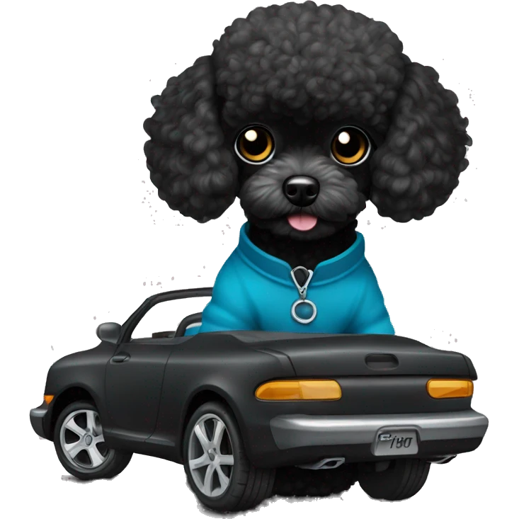 black toy poodle with a black drift car emoji
