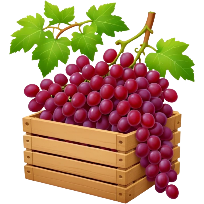 wine box with grapes emoji