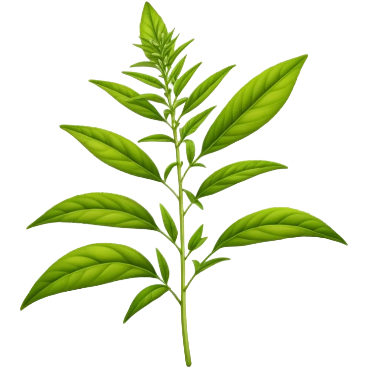 Lemon Verbena plant  emoji