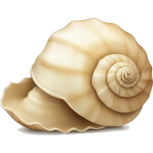 Shell beige  emoji