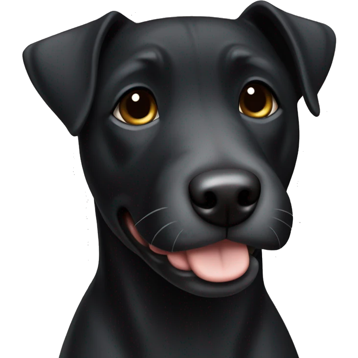 A black Patterdale Terrier dog with a white patch on its chest and brown eyes. emoji