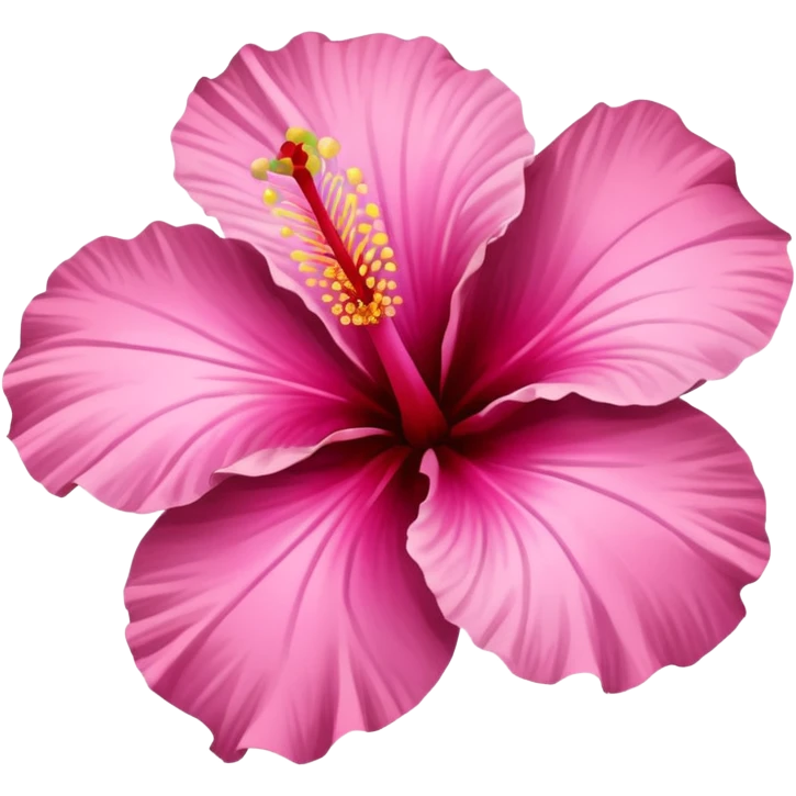 Aesthetic hibiscus emoji