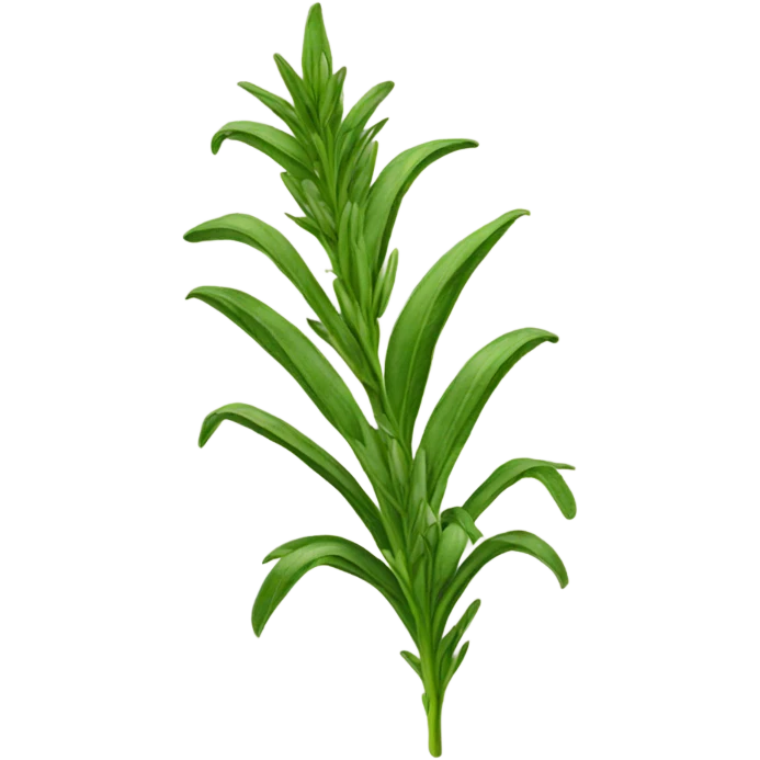 Tarragon  emoji