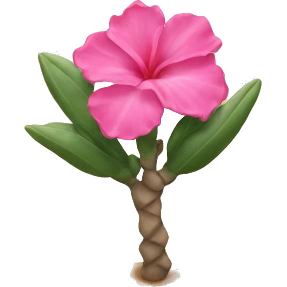 Desert rose  emoji