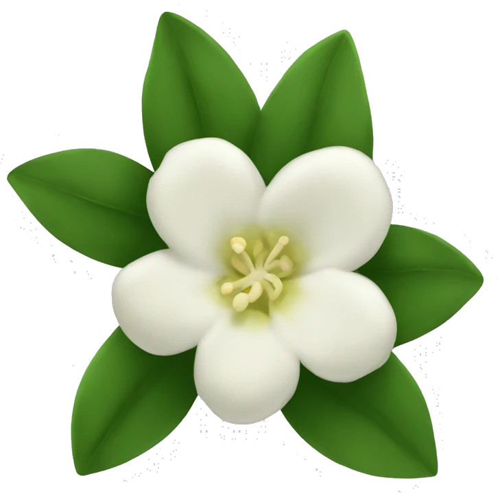 Night Jasmine flower emoji