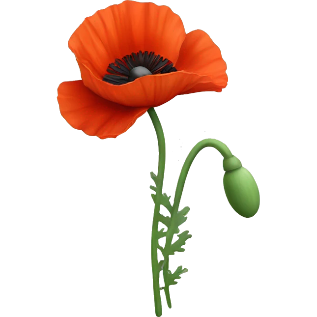 poppy flower  emoji