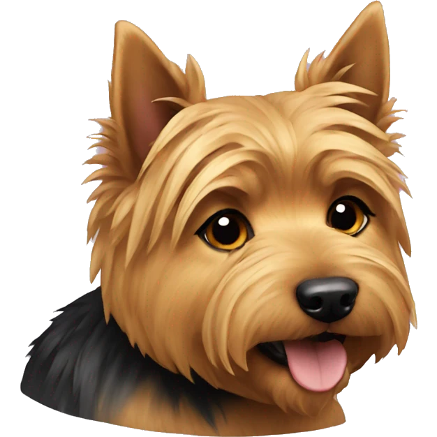 Norwich terrier emoji