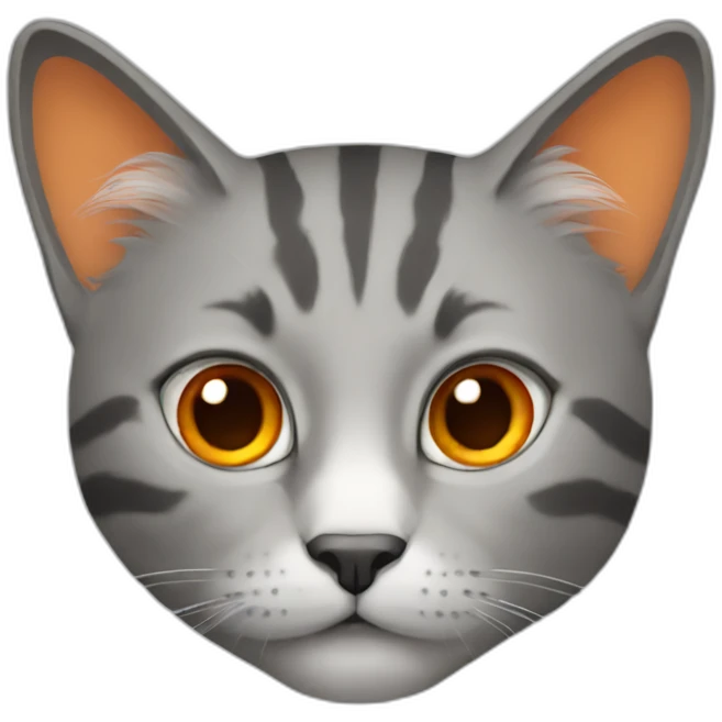 cat grey and orange emoji