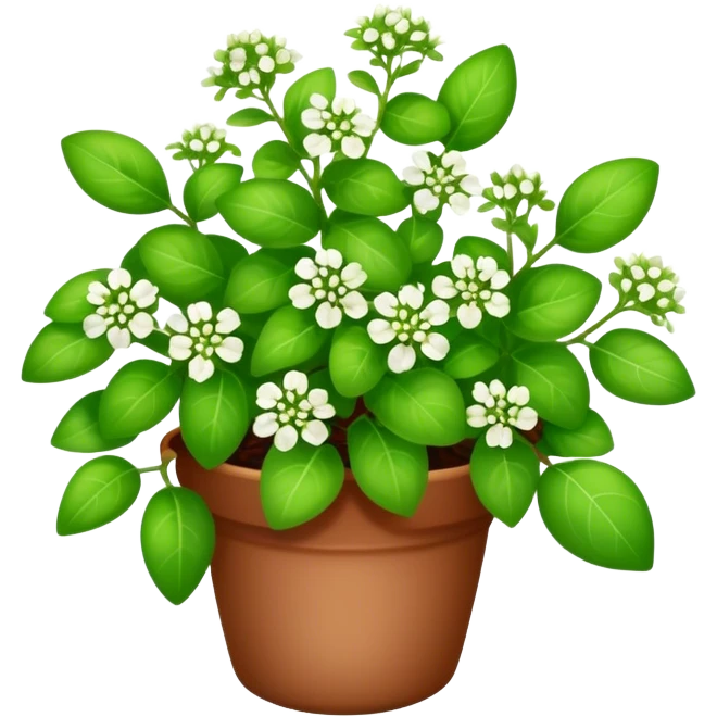 Marjoram plant  emoji