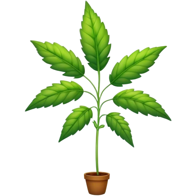 weed plant emoji