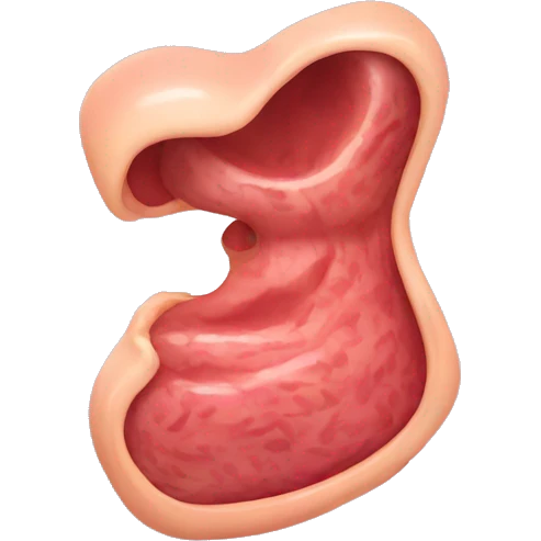 gut stomach emoji